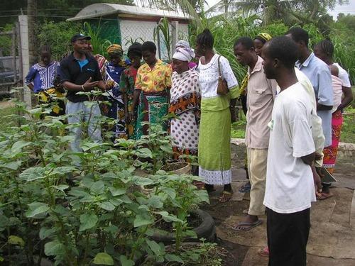 Agriculture Training